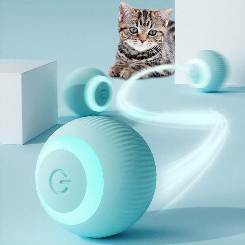 Bola Inteligente para Pet - Smart Ball™ - blackatitudea