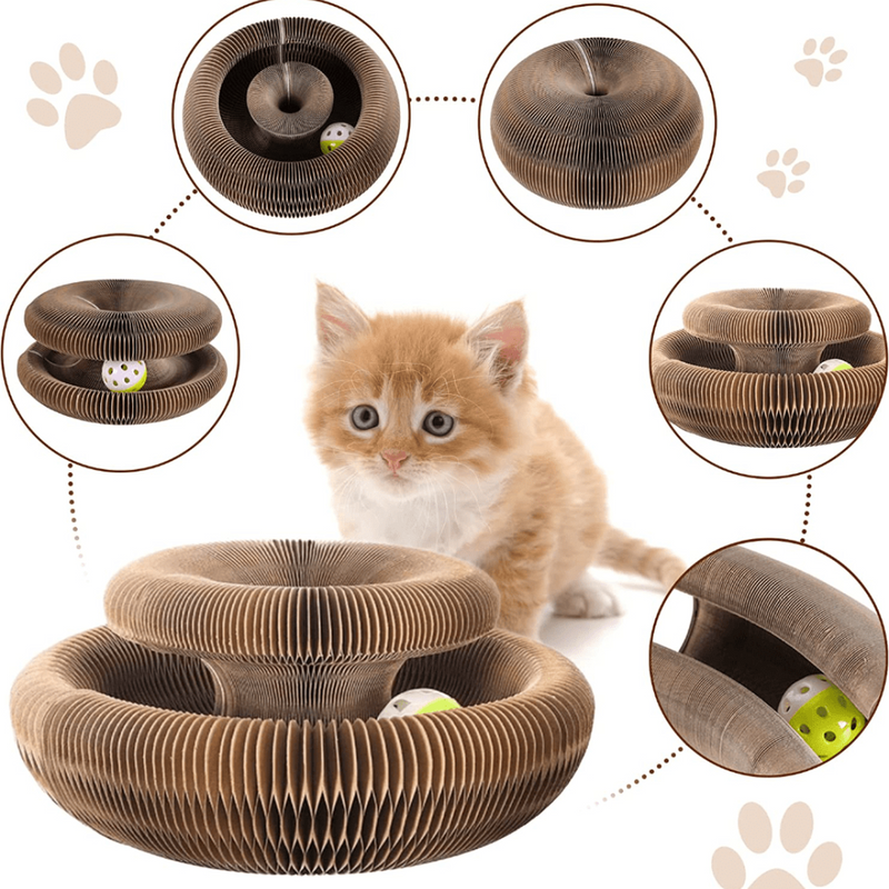 Brinquedo Interativo Para Gatos I Cat Joy + 1 Bola de Brinde - blackatitudea