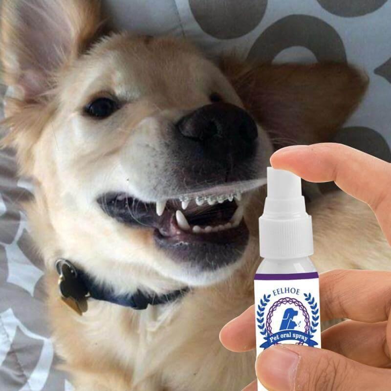 Spray Oral Eliminador de Tártaro e Mau Hálito Pet - blackatitudea