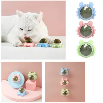 Brinquedo com Catnip Para Gatos