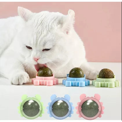 Brinquedo com Catnip Para Gatos