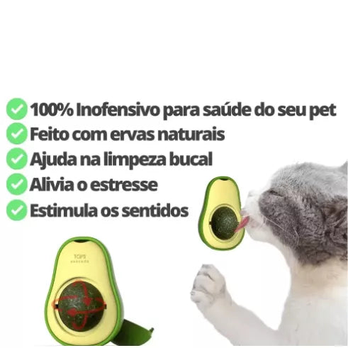 Brinquedo com Catnip Para Gatos