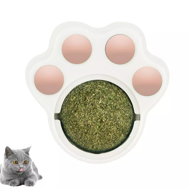 Brinquedo com Catnip Para Gatos